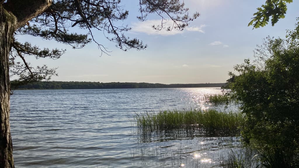 Madum Sø