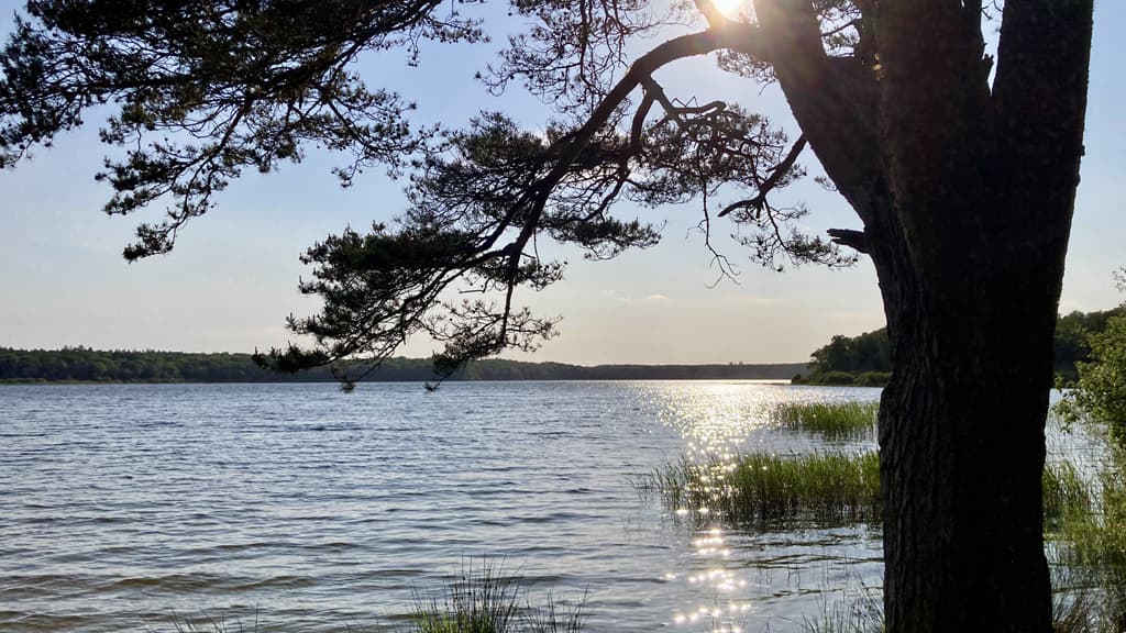 Madum Sø