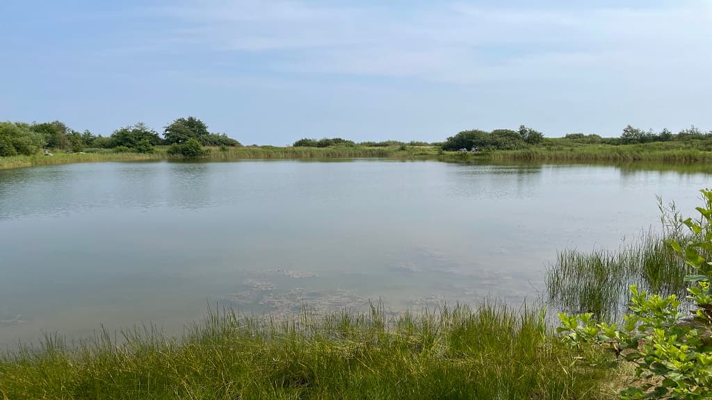 Lerbæk Fishing Park