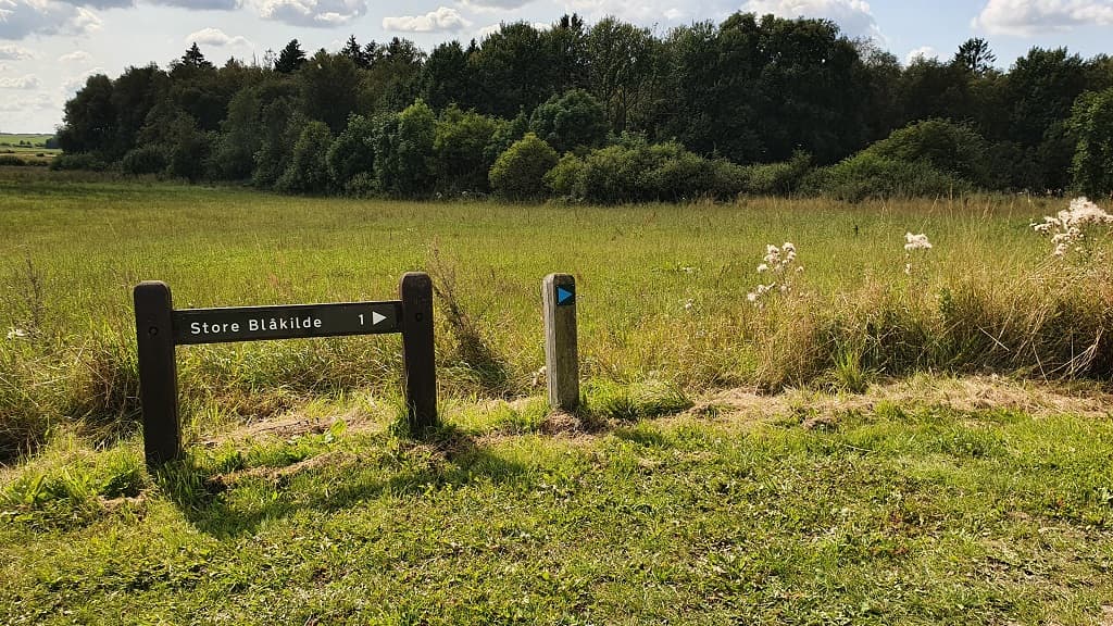 Store Blåkilde