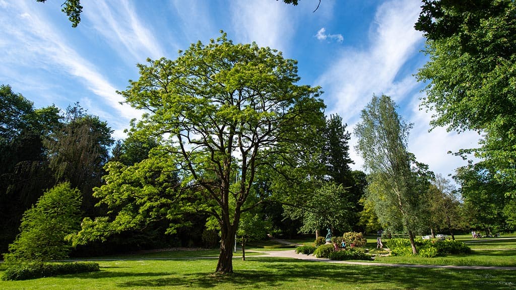 Borgvold Park