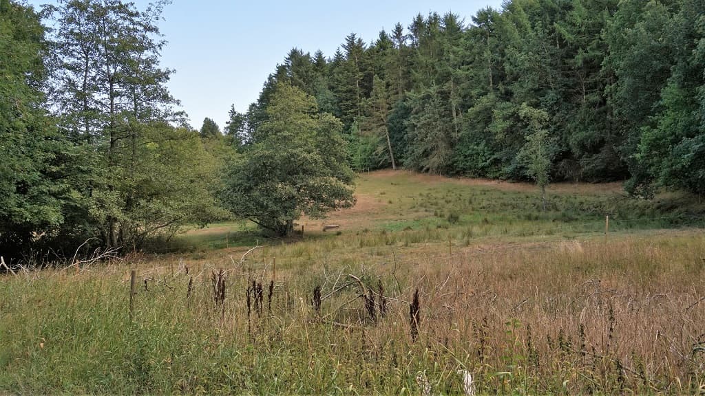 Protected area: Grevsmosen, Slettingen, Fejborg Bakke and Bollebakken